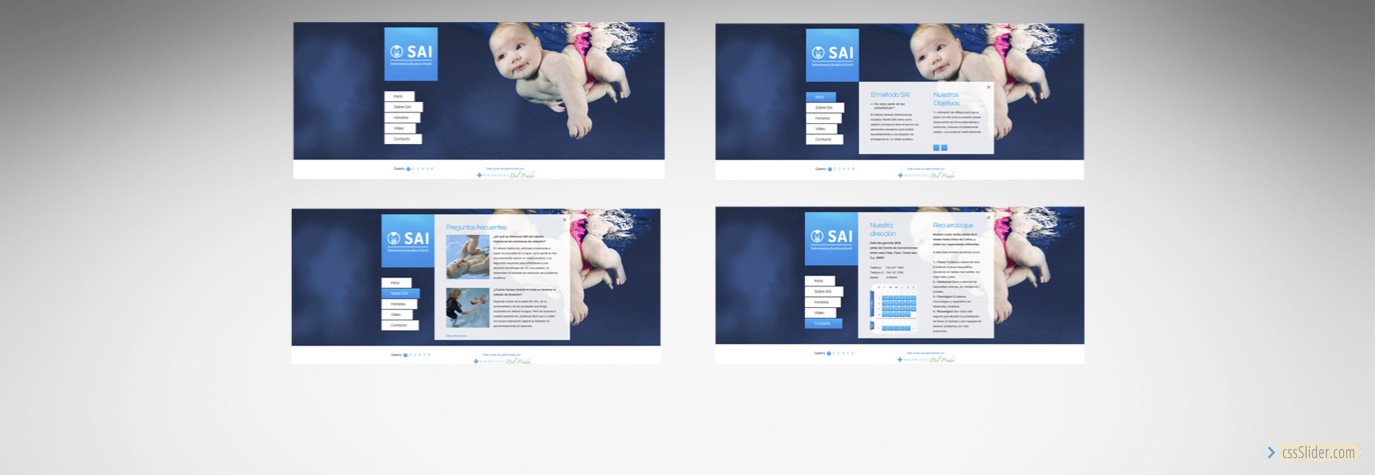 Página Web - Hospital del Prado